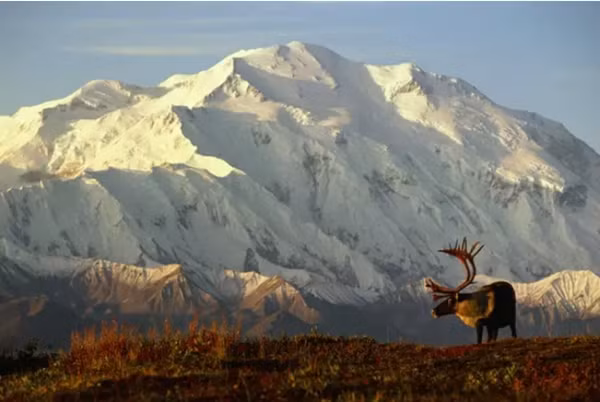 Đến giờ, con người vẫn biết rất ít về khu vực được gọi là "Tam giác Alaska". Ảnh: Johnny Johnson/ Getty. Đến giờ, con người vẫn biết rất ít về khu vực được gọi là "Tam giác Alaska". Ảnh: Johnny Johnson/ Getty.