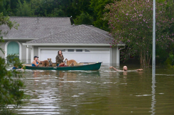 Một số khu vực ở Houston (Mỹ) từng hứng lượng mưa hơn 1.300 mm do bão. Ảnh: Mark Mulligan/ Houston Chronicle. Một số khu vực ở Houston (Mỹ) từng hứng lượng mưa hơn 1.300 mm do bão. Ảnh: Mark Mulligan/ Houston Chronicle.