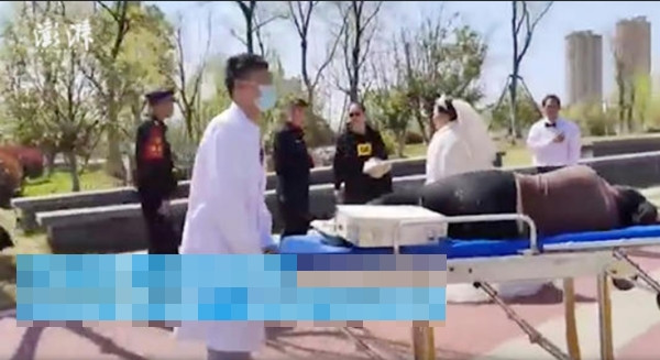 Cô gái suýt đuối nước được đưa đi cấp cứu. Ảnh: The Paper.