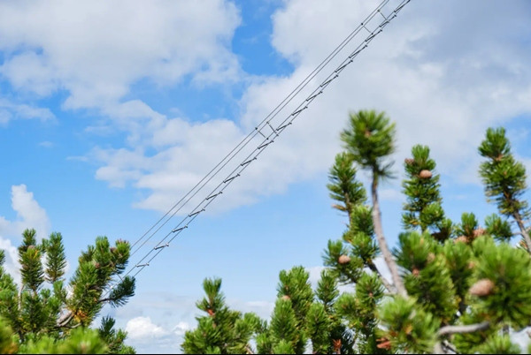 Cây cầu được đặt biệt danh là "nấc thang lên Thiên Đường". Ảnh: NY Post. Cây cầu được đặt biệt danh là "nấc thang lên Thiên Đường". Ảnh: NY Post.