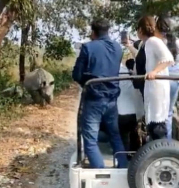 Tài xế và du khách hoảng sợ khi tê giác lao tới. Ảnh: Twitter.