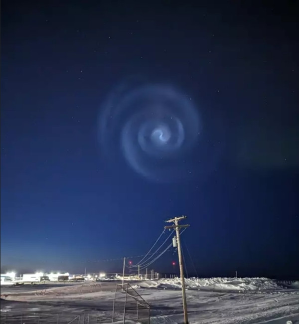 Nhìn gần nhìn xa đều rất đẹp. Ảnh: Elizabeth Withnall.