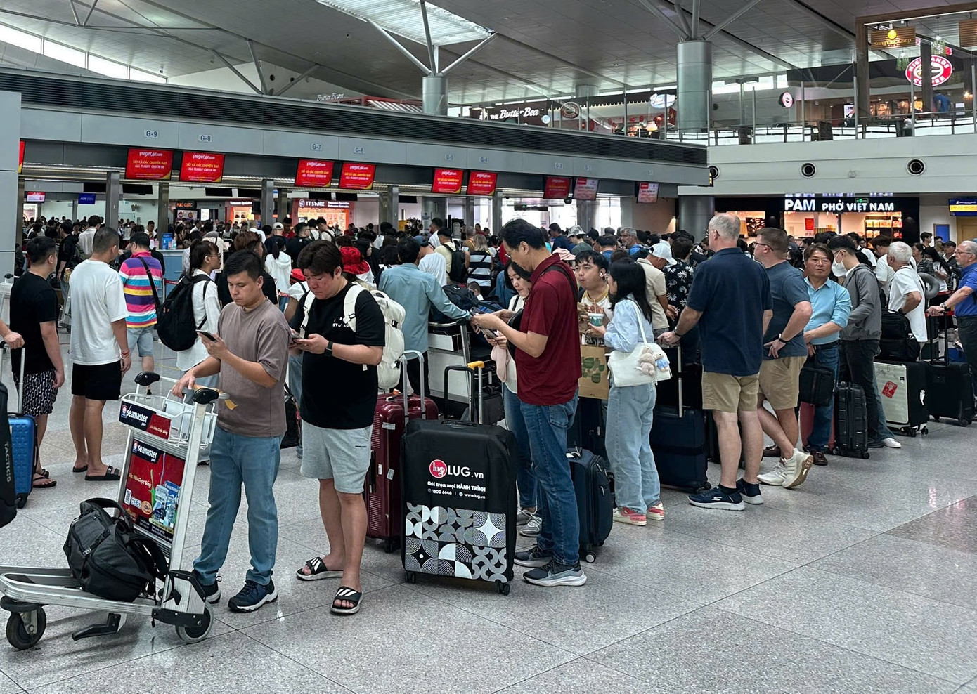 Khu vực ga đến nhà ga quốc nội T1. Ảnh: Cảng HKQT Tân Sơn Nhất.