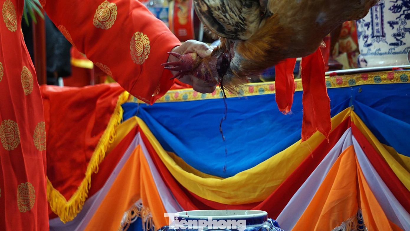 Sau lời thề, chủ lễ cầm dao bầu cắt tiết linh kê (gà trống lông vàng, chân màu vàng) hòa vào bình rượu. Sau lời thề, chủ lễ cầm dao bầu cắt tiết linh kê (gà trống lông vàng, chân màu vàng) hòa vào bình rượu.