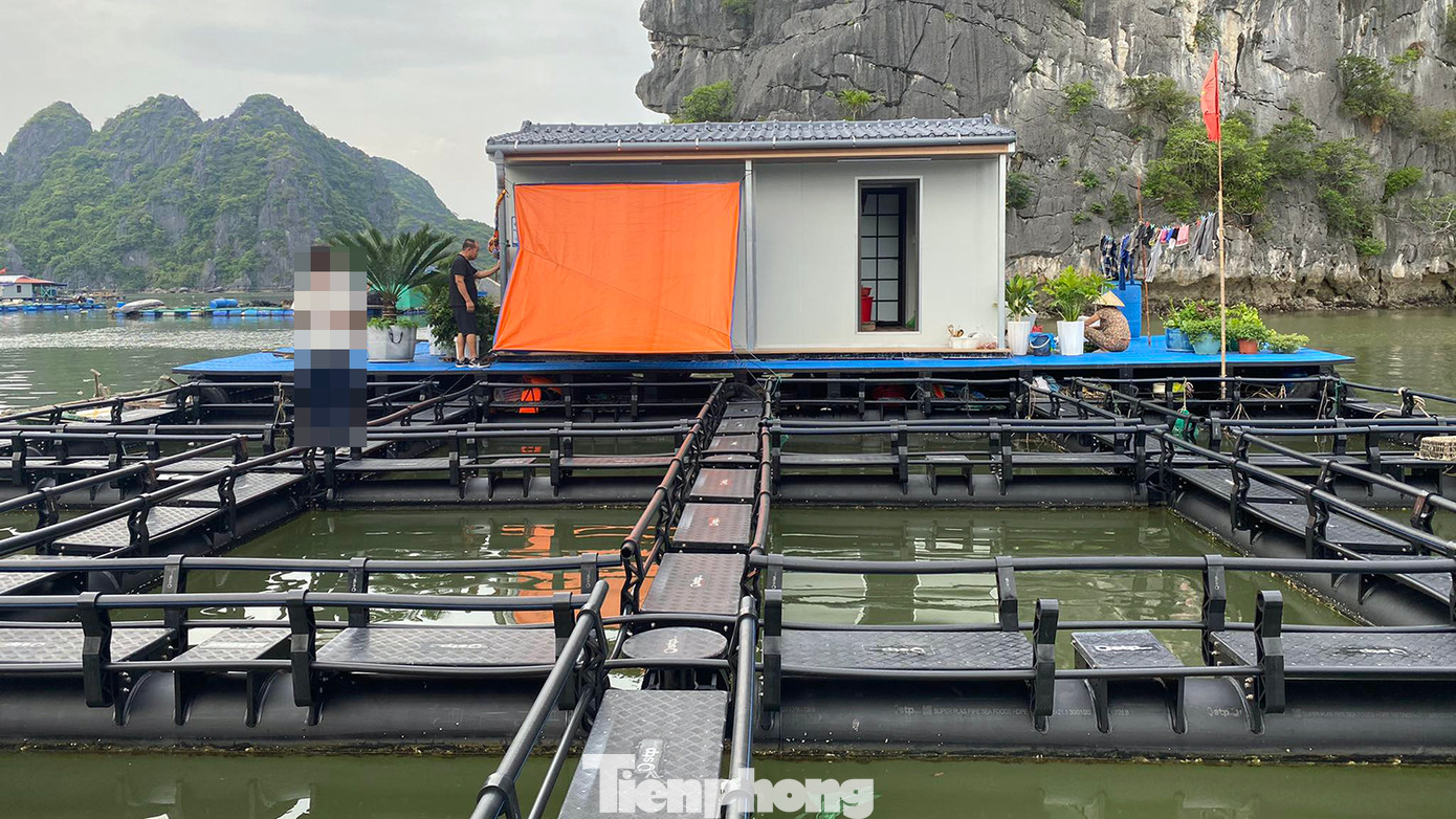 Căn nhà nổi và ô lồng duy nhất được làm hoàn toàn bằng vật liệu nhựa HDPE của gia đình ông Cao Xuân Hải (hơn 60 tuổi) có giá khoảng 2,3 tỷ đồng, cao gấp gần 4 lần lồng bè của 9 hộ trước và gấp khoảng 7 lần lồng bè truyền thống. Theo ông Hải, phao nổi liền khối, không có khe thoáng khiến mặt nước tù đọng. Thành ô lồng rất cao khiến việc thả lưới, thu hoạch hay vệ sinh lưới rất khó khăn, mất nhiều công sức hơn.