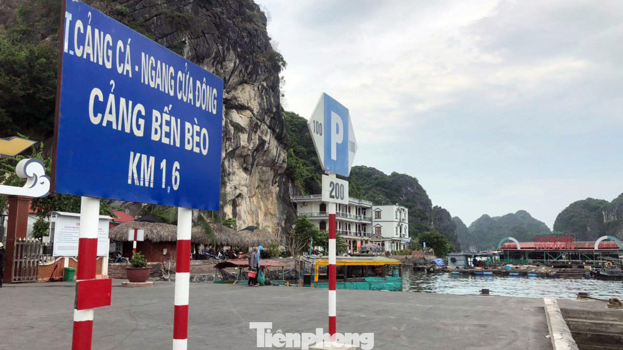 Tính đến chiều 17/7, có 690 phương tiện tàu, thuyền với hơn 2.000 lao động tránh trú bão trên địa bàn huyện, 646 phương tiện tàu thuyền khai thác và dịch vụ thủy sản, phương tiện vận tải khách và du lịch đã được sắp xếp neo đậu tại các vị trí an toàn.