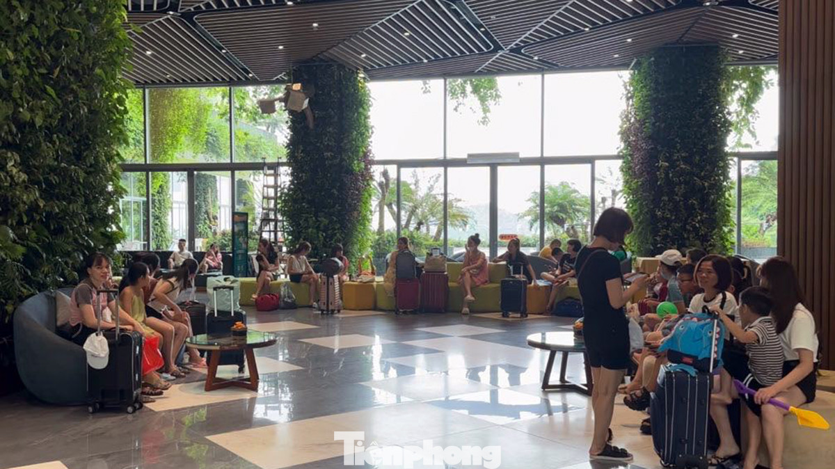 Để đảm bảo an toàn, Huyện Cát Hải đã cấm biển, cấm phà từ chiều 17/7, do đó hàng nghìn du khách đang mắc kẹt trên đảo Cát Bà. Rất nhiều du khách phải chuyển khách sạn, chuyển nhà nghỉ. Để đảm bảo an toàn, Huyện Cát Hải đã cấm biển, cấm phà từ chiều 17/7, do đó hàng nghìn du khách đang mắc kẹt trên đảo Cát Bà. Rất nhiều du khách phải chuyển khách sạn, chuyển nhà nghỉ.