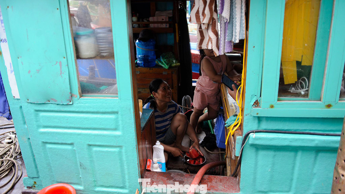 100% ngư dân trên các tàu cá tại Cảng cá Ngọc Hải (Đồ Sơn, Hải Phòng) đã về nơi trú bão an toàn. 100% ngư dân trên các tàu cá tại Cảng cá Ngọc Hải (Đồ Sơn, Hải Phòng) đã về nơi trú bão an toàn.