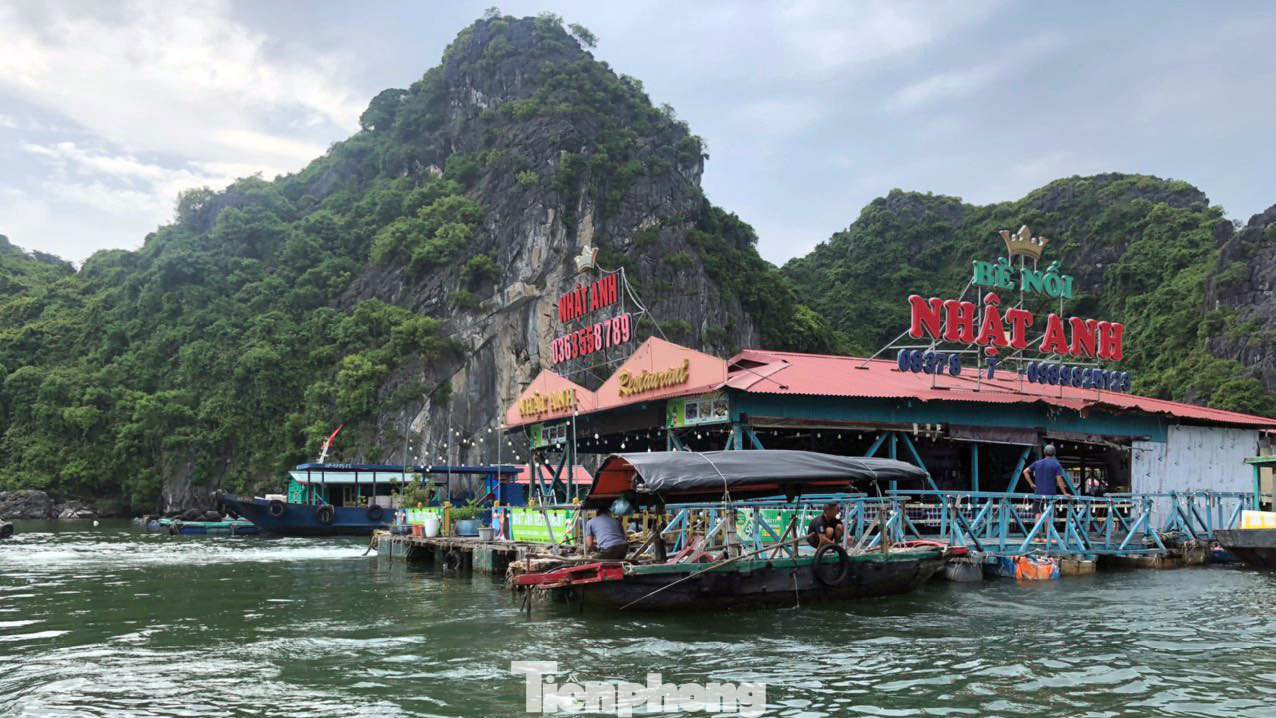 Các nhà hàng nổi trên vịnh khu vực Bến Bèo cũng đang được người dân gấp rút gia cố hoặc di dời về khu vực an toàn.