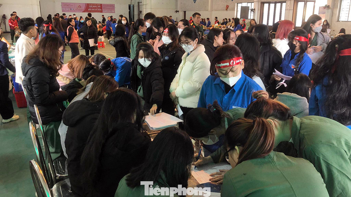 Ngay sau buổi lễ phát động, gần 1.000 sinh viên Đại học Hải Phòng và các bạn trẻ sống và làm việc tại thành phố cảng hứng khởi đăng ký tham gia hiến máu.