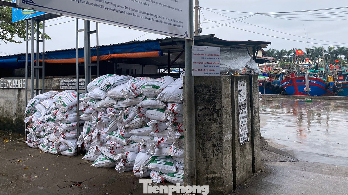 Quận Đồ Sơn cũng chuẩn bị hàng nghìn bao tải chứa đất đá, cát, phao cứu hộ, vật tư phòng chống bão; hàng chục xuồng máy và các trang thiết bị cần thiết sẵn sàng các biện pháp ứng phó, cứu hộ, cứu nạn khi cần thiết. Quận Đồ Sơn cũng chuẩn bị hàng nghìn bao tải chứa đất đá, cát, phao cứu hộ, vật tư phòng chống bão; hàng chục xuồng máy và các trang thiết bị cần thiết sẵn sàng các biện pháp ứng phó, cứu hộ, cứu nạn khi cần thiết.
