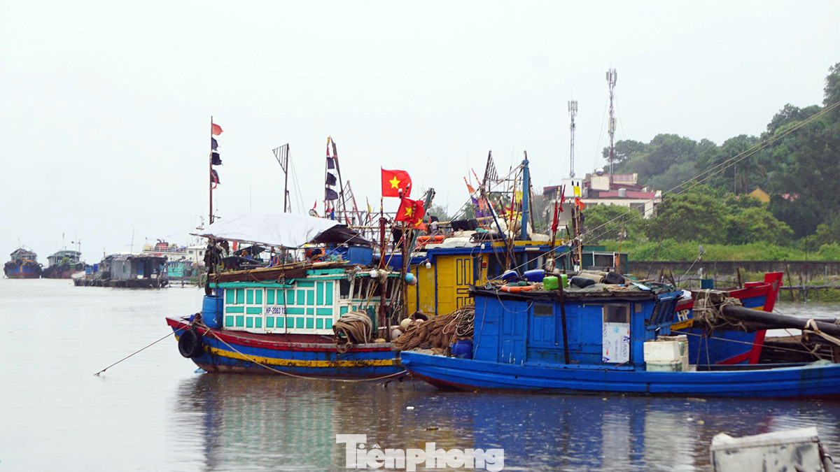 Theo UBND quận Đồ Sơn, địa phương đã huy động 100% quân số ứng trực (hơn 1.200 lượt cán bộ) ứng trực phòng chống bão. Ngay từ chiều 17/7, các tổ công tác trực tiếp xuống cảng cá vận động ngư dân di chuyển gần 200 tàu cá, tàu vận tải, tàu du lịch về nơi neo đậu an toàn. Theo UBND quận Đồ Sơn, địa phương đã huy động 100% quân số ứng trực (hơn 1.200 lượt cán bộ) ứng trực phòng chống bão. Ngay từ chiều 17/7, các tổ công tác trực tiếp xuống cảng cá vận động ngư dân di chuyển gần 200 tàu cá, tàu vận tải, tàu du lịch về nơi neo đậu an toàn.