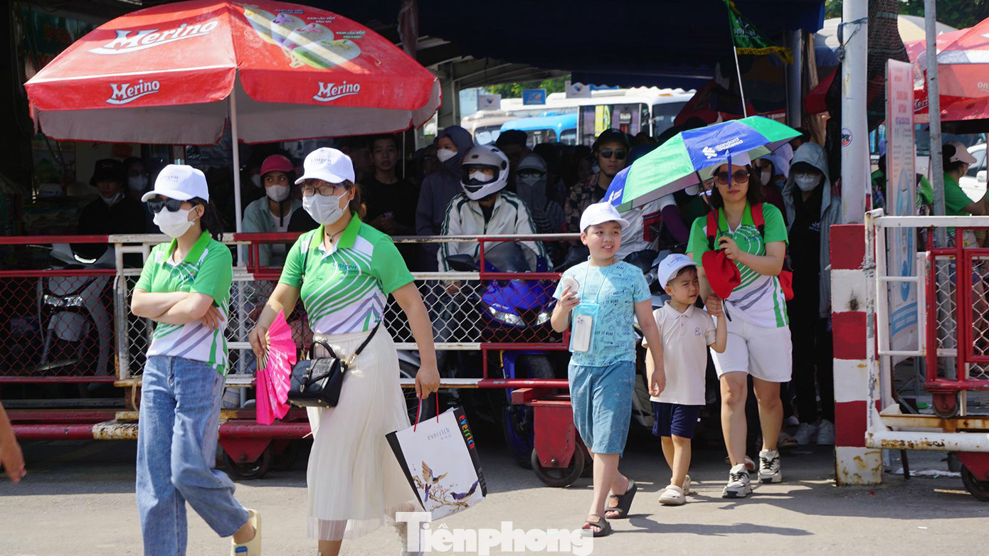 Một nhân viên soát vé phà Gót cho biết, dịp hè các cháu học sinh, sinh viên được nghỉ nên tỷ lệ khách ra đảo tham quan du lịch tăng cao từ tháng 5. Các tổ chức, đơn vị tổ chức nhiều tour cho nhân viên và trẻ em đi du lịch, nghỉ mát khiến bến phà luôn nhộn nhịp.