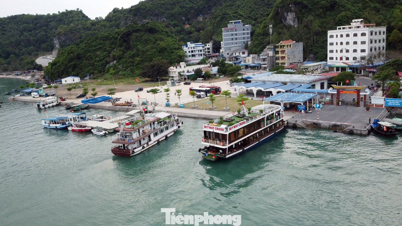 Hệ thống du thuyền 5 sao ngắm vịnh Lan Hạ (Hải Phòng) hiện có gần 1.000 phòng tiêu chuẩn cao cấp.