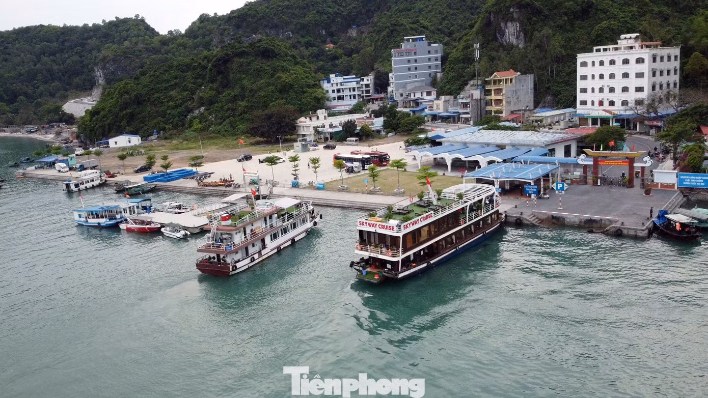 Hệ thống du thuyền 5 sao ngắm vịnh Lan Hạ (Hải Phòng) hiện có gần 1.000 phòng tiêu chuẩn cao cấp.