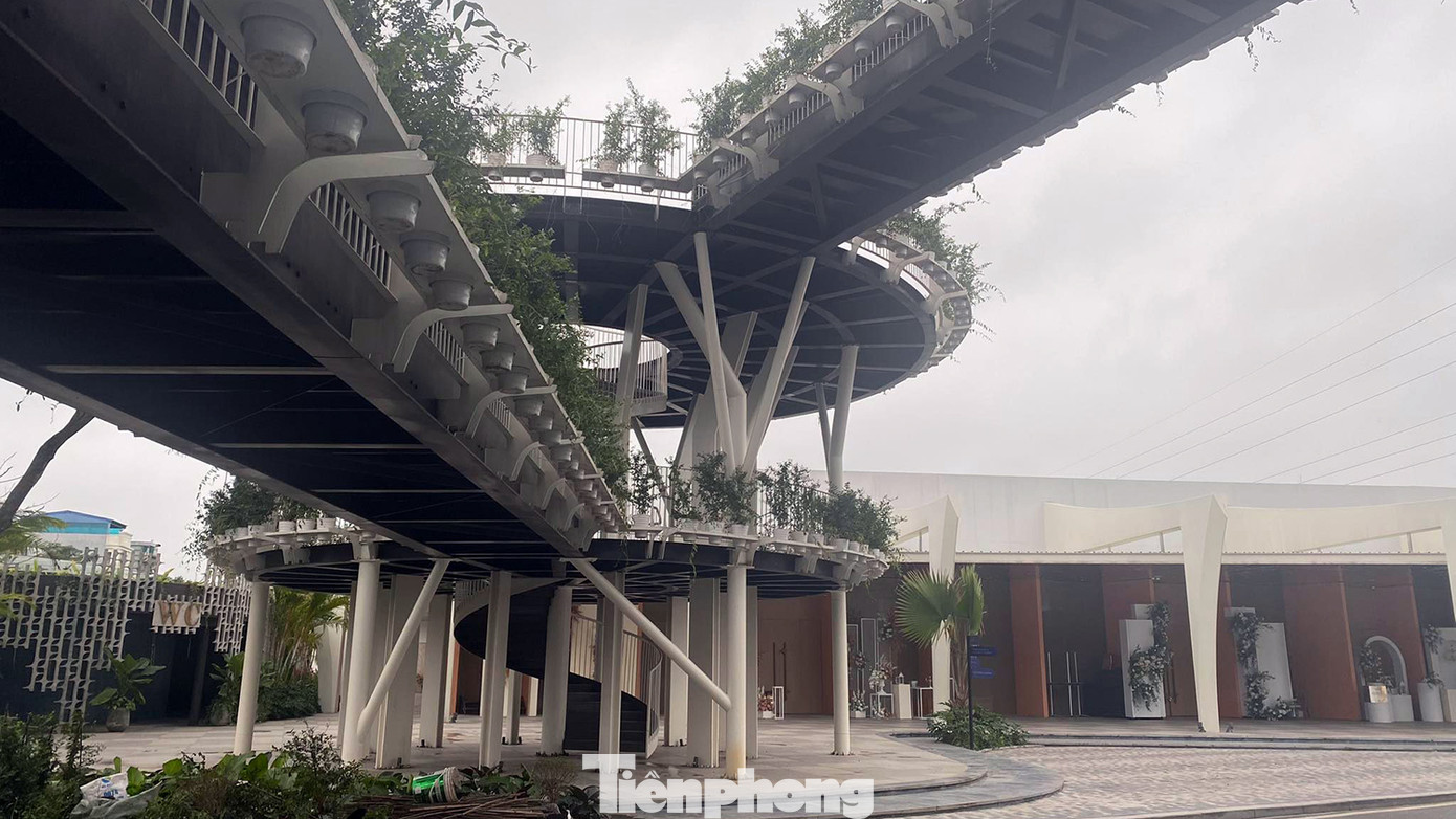 Liên ngành TN&amp;MT và quận Lê Chân đã tổ chức kiểm tra qua đó xác định, toàn bộ nhà điều hành, kho xưởng sản xuất trên khu đất đã được Công ty Hồng Phát cải tạo thành Trung tâm tiệc cưới W.Jardin. Trong đó, khu vực nhà kho, nhà xưởng sản xuất chính được cải tạo thành hội trường cưới. Khu nhà điều hành cải tạo thành khu dịch vụ áo cưới.