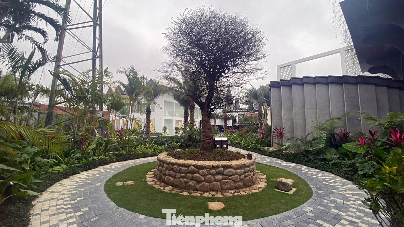 Trung tâm tiệc cưới W.Jardin nằm ở vị trí đắc địa, mặt đường Nguyễn Văn Linh, gần nút giao Võ Nguyên Giáp - Hồ Sen, trục đường trung tâm của quận Lê Chân (TP Hải Phòng). Trung tâm tiệc cưới này gần siêu thị Aeon Mall, Khu đô thị Hoàng Huy Commerce, Vinhomes Marina Cầu Rào, Waterfront City, Khu đô thị quán Nam...