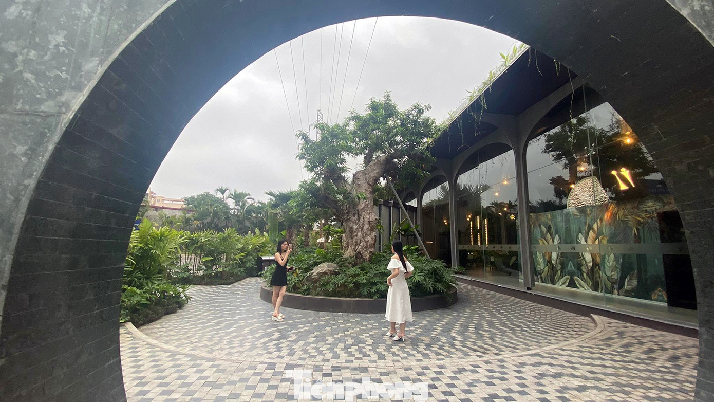 UBND quận Lê Chân cũng thông tin, ngoài việc tự ý chuyển mục đích sử dụng đất, Công ty Hồng Phát cũng không có hồ sơ môi trường, xây dựng các công trình không có giấy phép, lấn chiếm xây dựng trái phép.