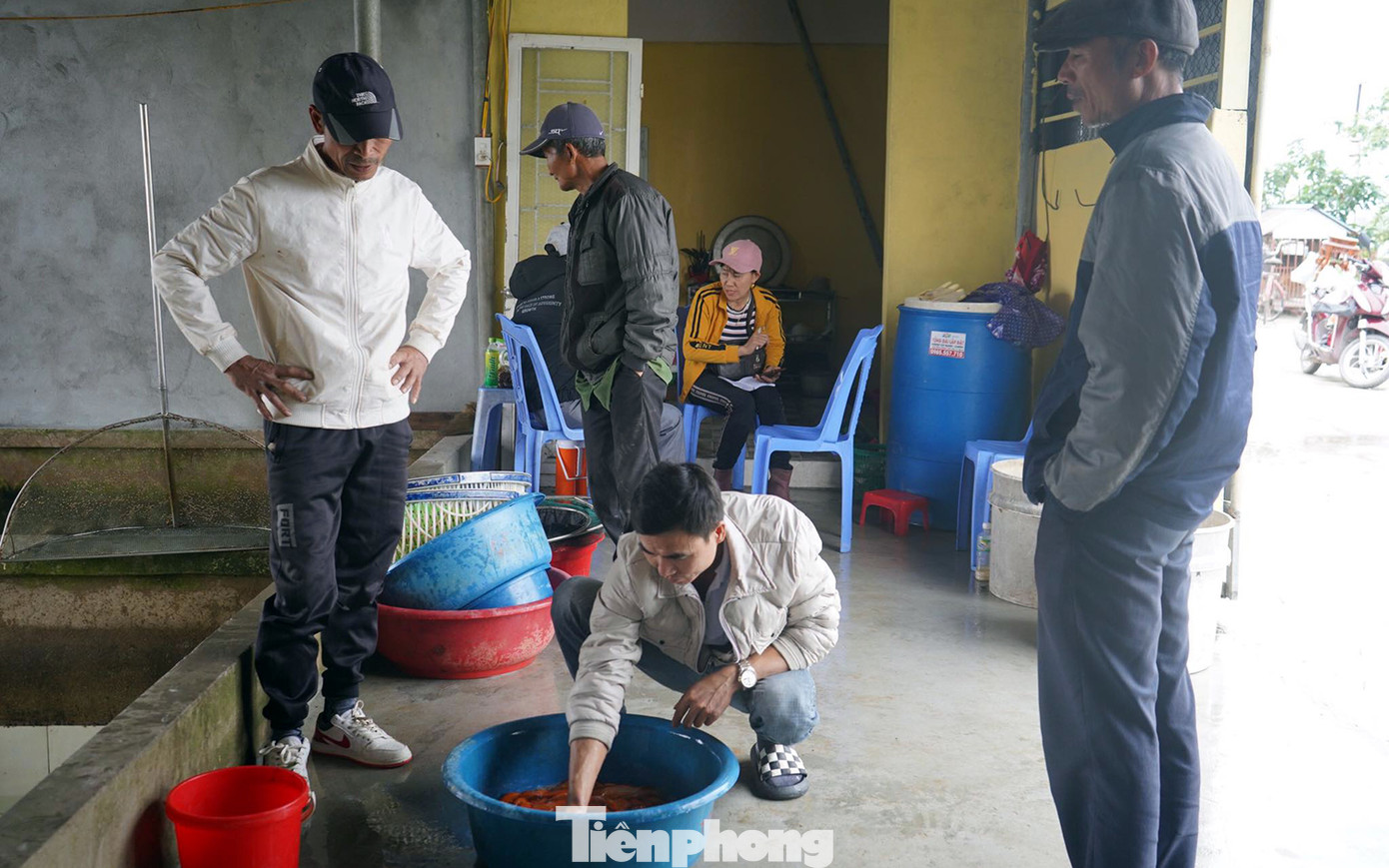 Anh Vũ Văn Cường (giữa ảnh, thương lái) chia sẻ: 25 năm nay, anh đều về làng Hội Am mua cá chép cung cấp cho các chợ đầu mối ở Hải Phòng, Quảng Ninh. Mỗi dịp Tết ông Công, ông Táo, anh thu mua rồi cung cấp các thị trường khoảng 600-800kg cá. Anh Vũ Văn Cường (giữa ảnh, thương lái) chia sẻ: 25 năm nay, anh đều về làng Hội Am mua cá chép cung cấp cho các chợ đầu mối ở Hải Phòng, Quảng Ninh. Mỗi dịp Tết ông Công, ông Táo, anh thu mua rồi cung cấp các thị trường khoảng 600-800kg cá.