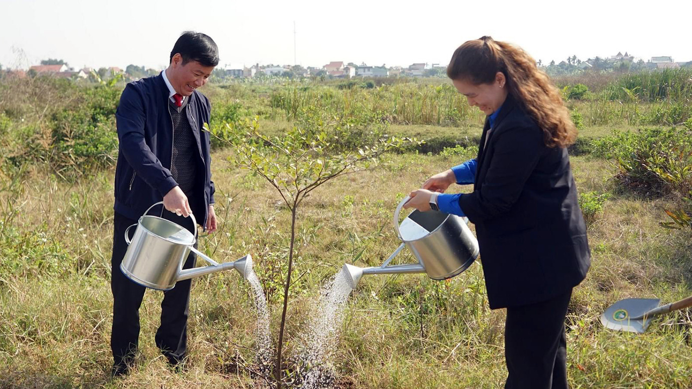 Dịp này, toàn thành phố sẽ trồng mới 15.000 cây xanh.