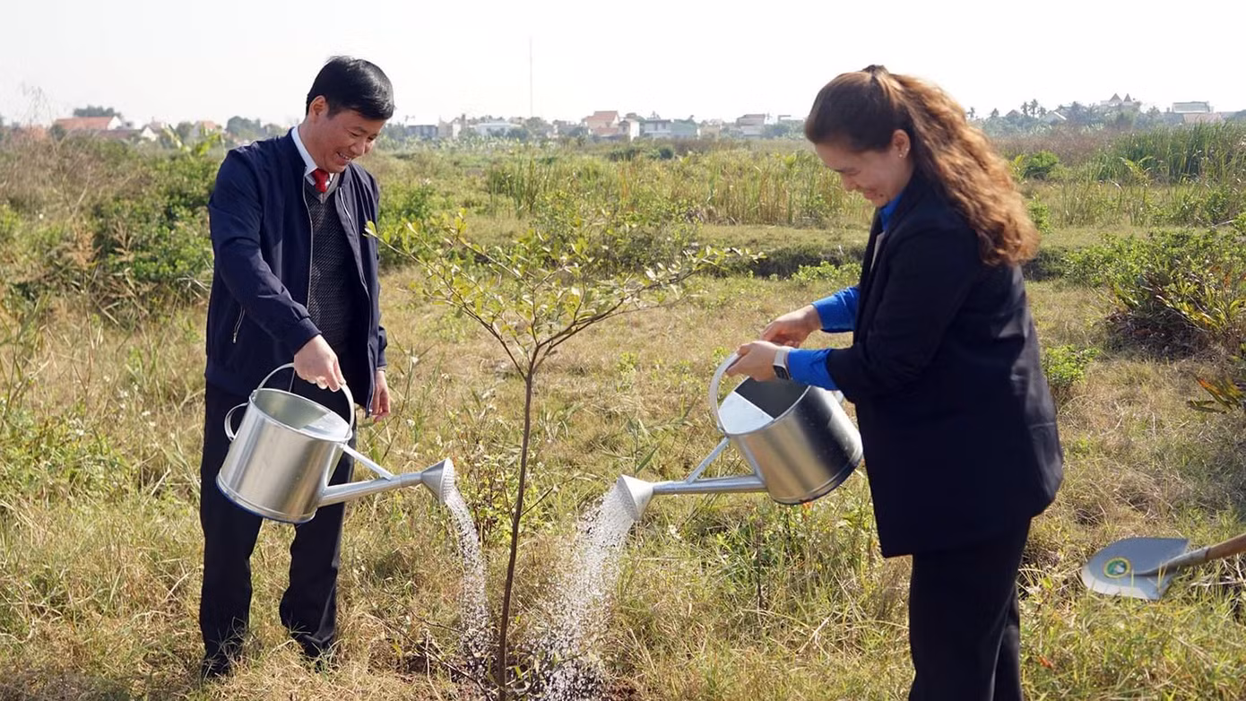 Dịp này, toàn thành phố sẽ trồng mới 15.000 cây xanh. Dịp này, toàn thành phố sẽ trồng mới 15.000 cây xanh.