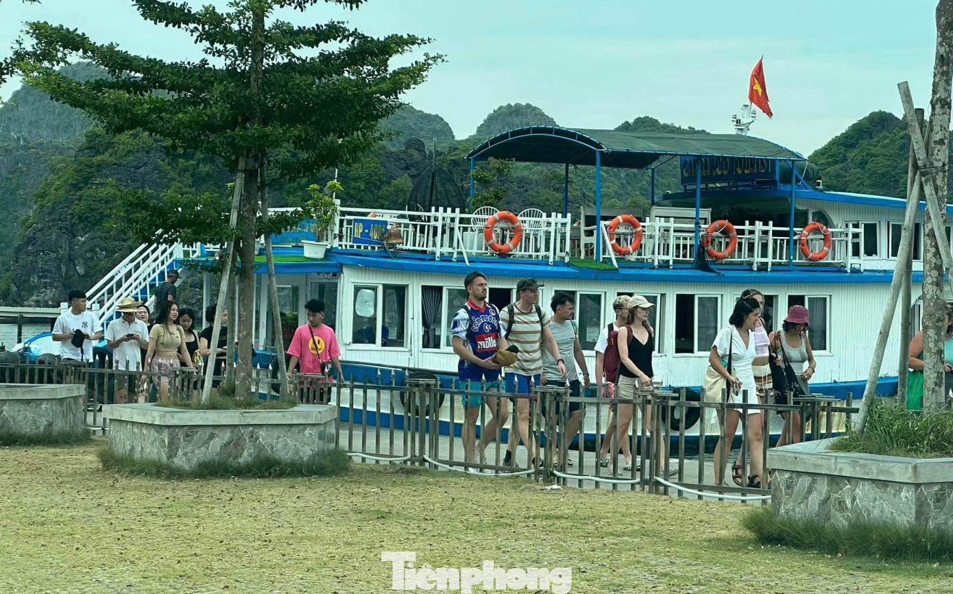 Khách du lịch được đưa về vịnh Bến Bèo, trung tâm thị trấn Cát Bà chiều 17/7. Ảnh: V.L Khách du lịch được đưa về vịnh Bến Bèo, trung tâm thị trấn Cát Bà chiều 17/7. Ảnh: V.L