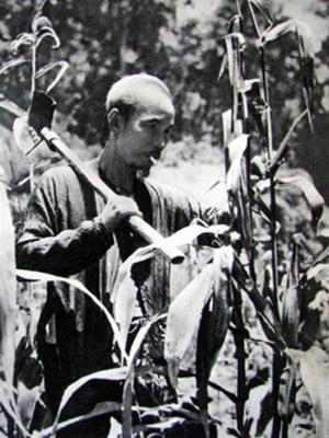 Hồ Chủ tịch tăng gia sản xuất tại chiến khu Việt Bắc