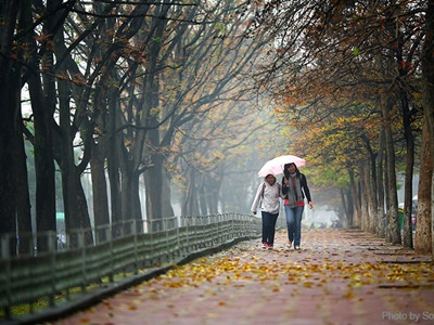 Giữa tuần miền Bắc chịu ảnh hương của gió mùa Đông Bắc. Ảnh Sơn Lâm (VTC)