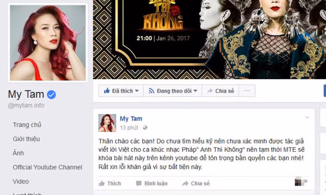 Mỹ Tâm bị ‘ném đá’ thậm tệ: Trách ai? ảnh 5