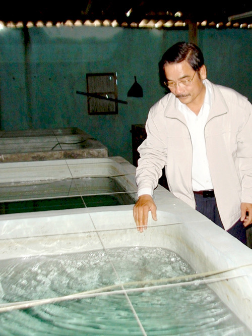 Ông Ngô Đức Ri bên bể nuôi cá ngựa vằn thương phẩm