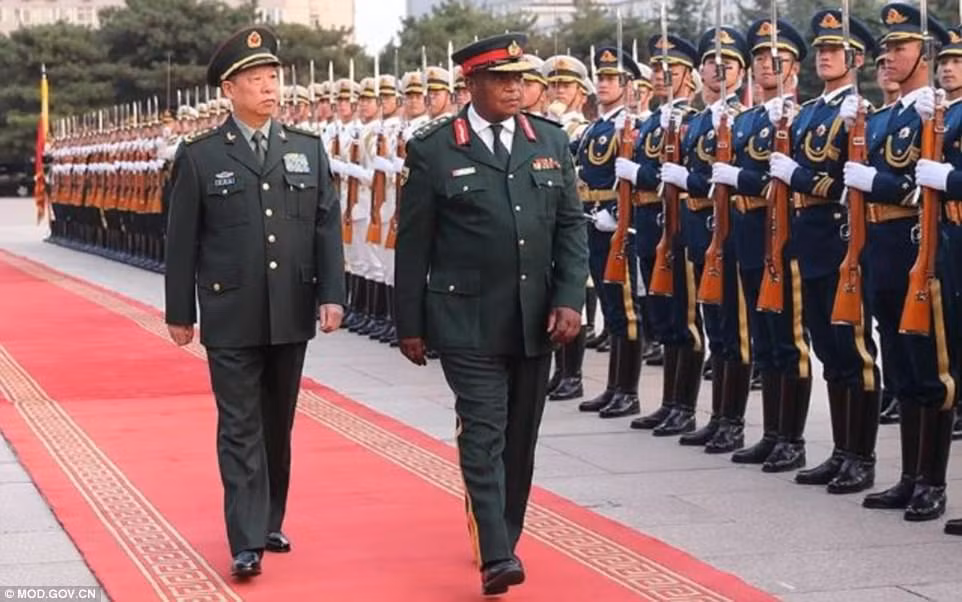 Phu nhân Tổng thống Zimbabwe bị giam lỏng cùng chồng? ảnh 2