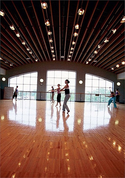 Các môn học thể dục như bơi, bóng đá, bóng ném, bóng bầu dục, thể dục dụng cụ, tennis, bóng chuyền… đều có mặt trong trường