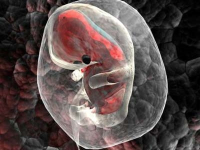 Ảnh minh họa. Ảnh minh họa