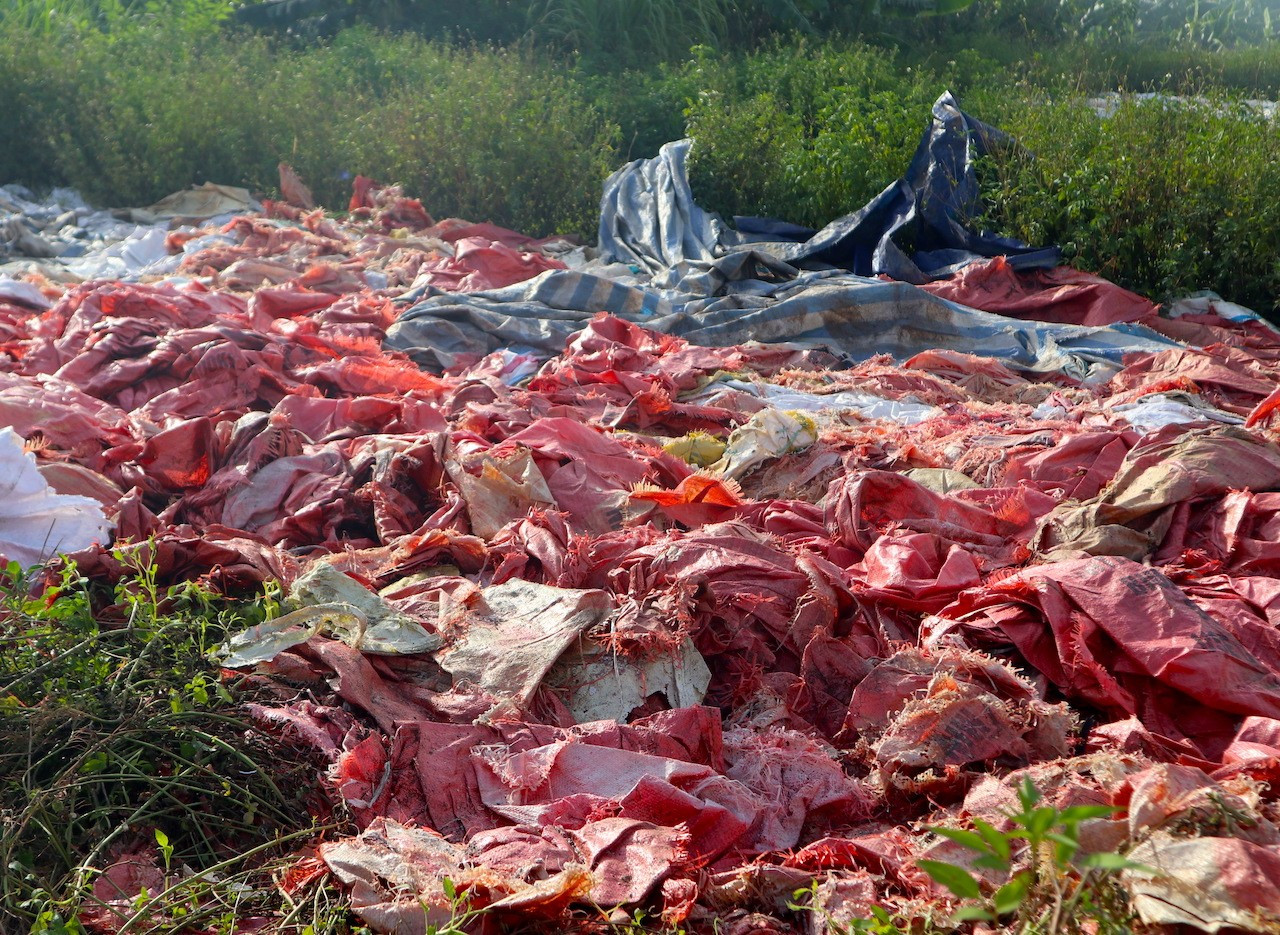 Ô nhiễm nguồn nước tại làng nghề chế biến nông sản ở thôn Hoà Hợp (xã Dương Liễu, huyện Hoài Đức, Hà Nội). Ô nhiễm nguồn nước tại làng nghề chế biến nông sản ở thôn Hoà Hợp (xã Dương Liễu, huyện Hoài Đức, Hà Nội).