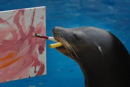 Sư tử biển Morgan khiến nhiều người ngạc nhiên với khả năng vẽ tranh mặc dù nội dung của bức tranh khiến nhiều người phải “đau đầu”