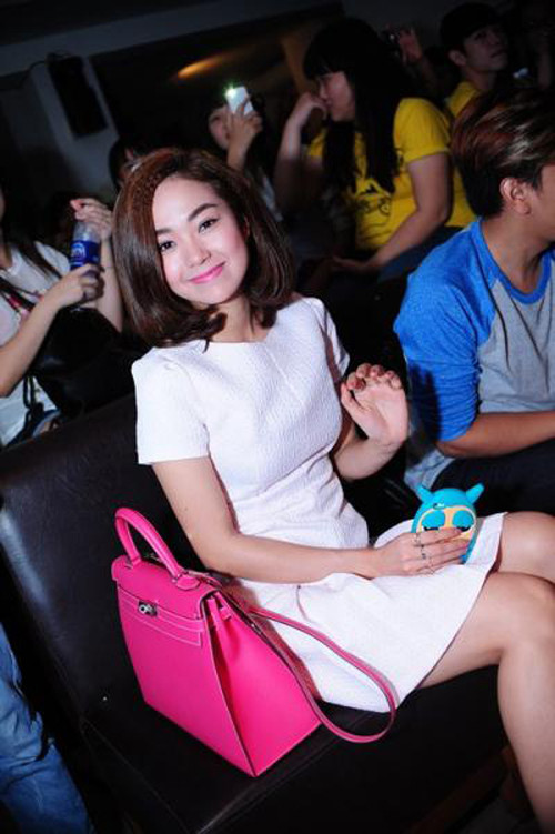 4 mỹ nhân hàng hiệu nổi tiếng của showbiz Việt ảnh 8