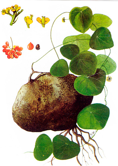 Mất ngủ, khó ngủ - Nguyên nhân và cách chữa trị ảnh 1