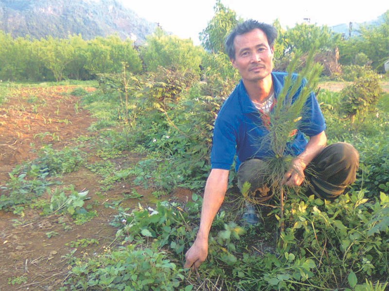 Tỷ phú Phạm Văn Tế