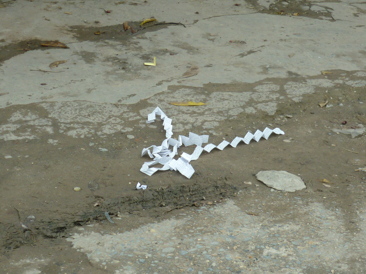 "Phao" trên phố Xốm. Ảnh: HT