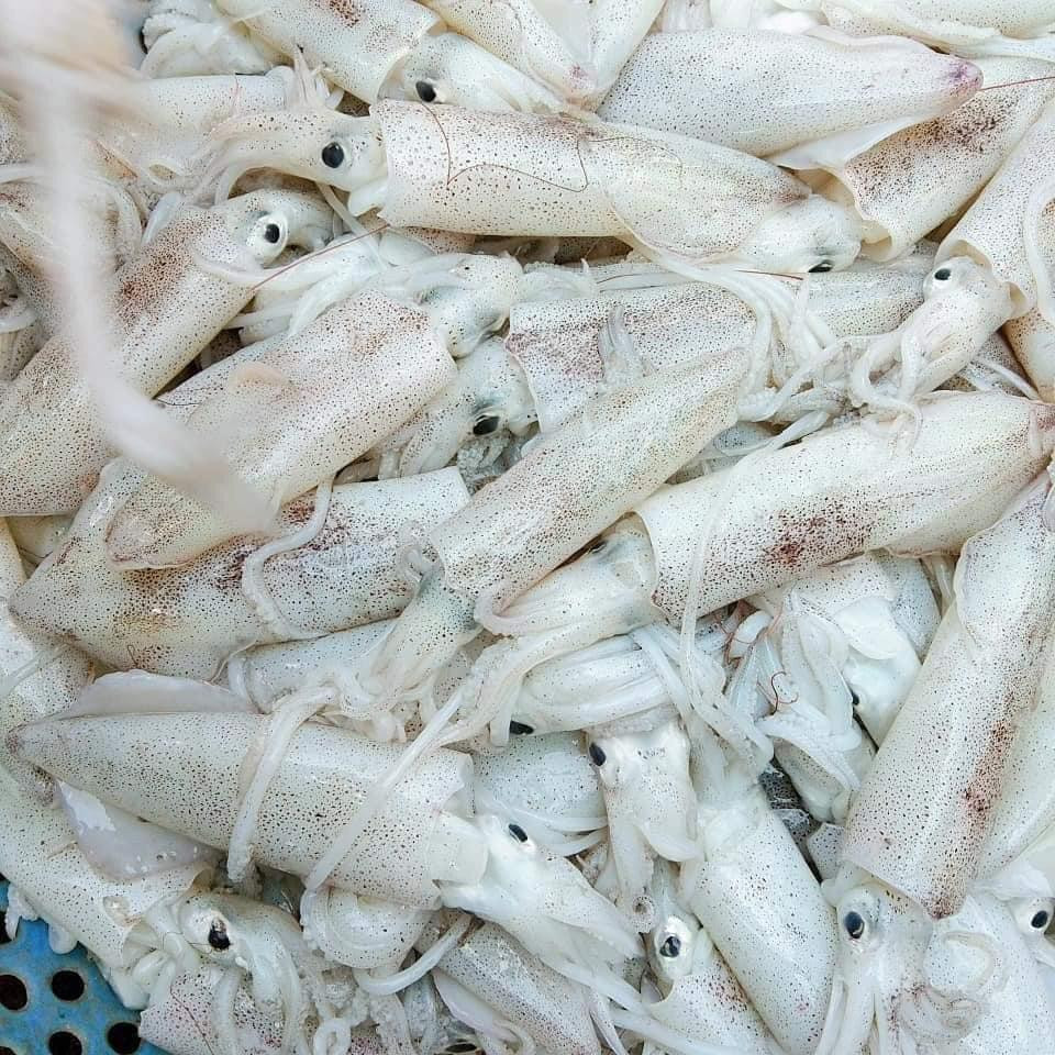 Hải sản tươi sống tăng giá chóng mặt bởi khó khăn trong khâu vận chuyển.