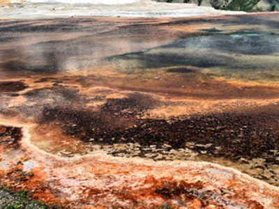 Khi trái đất trở thành hành tinh chết