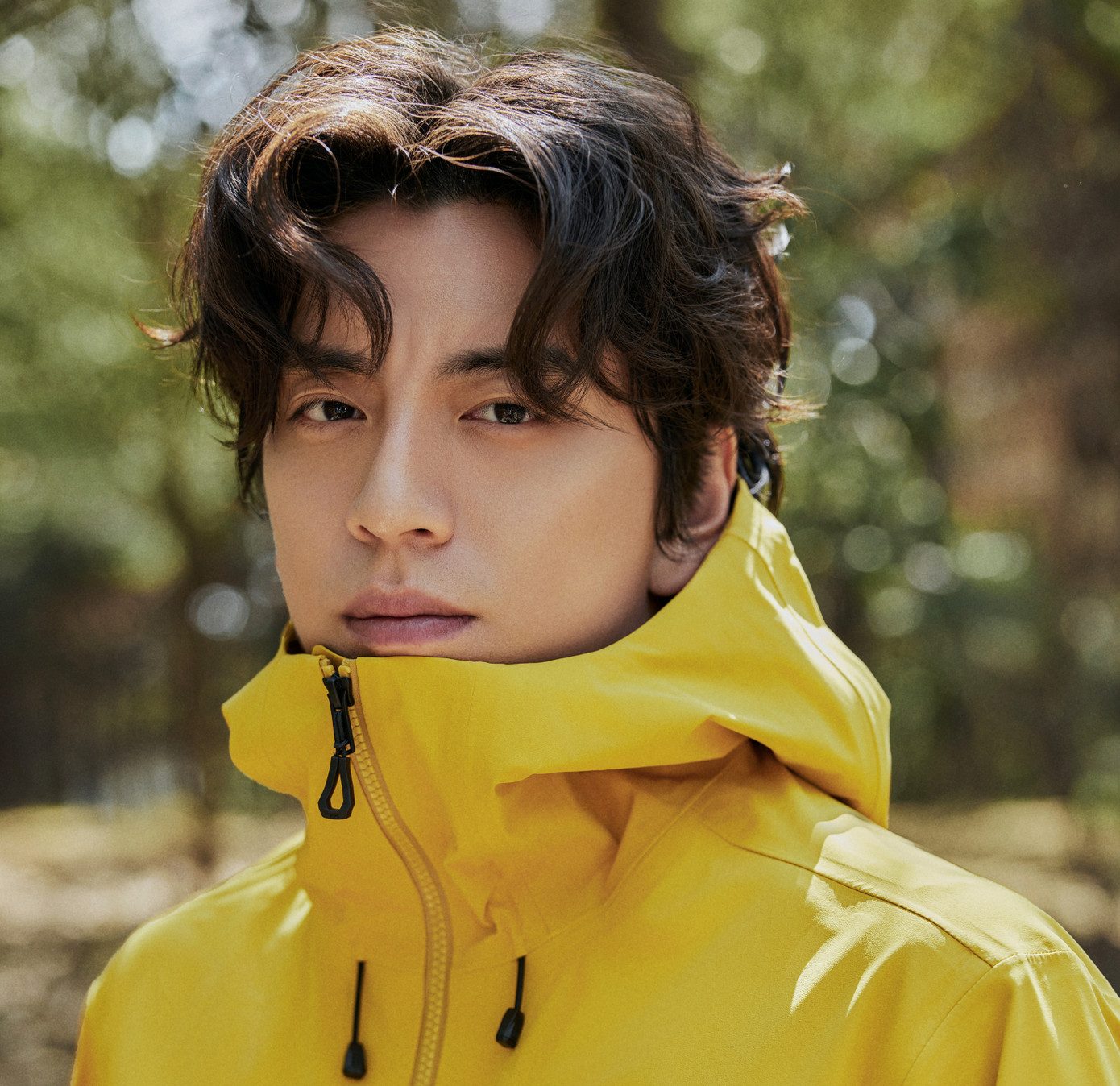 Scandal khiến danh tiếng Vương Đại Lục bị ảnh hưởng nghiêm trọng. Scandal khiến danh tiếng Vương Đại Lục bị ảnh hưởng nghiêm trọng.