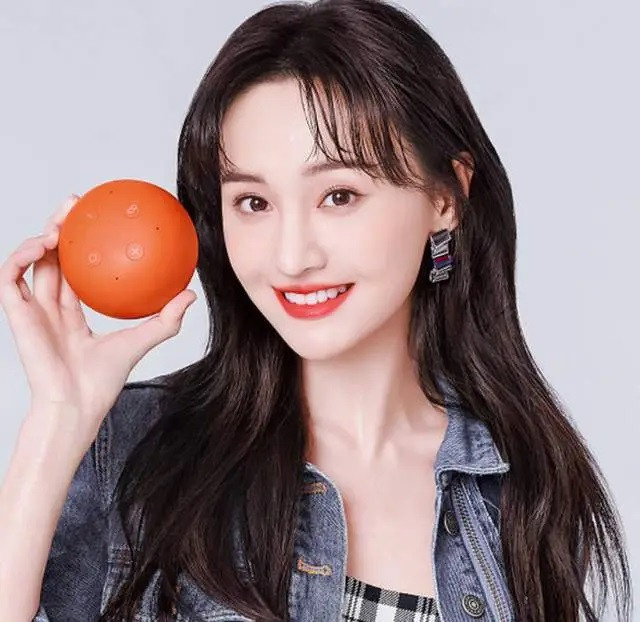 Trịnh Sảng từng là ngôi sao hạng A của giới giải trí Hoa ngữ. Cô bị cấm sóng vì nhờ người mang thai hộ, điều này vi phạm pháp luật Trung Quốc. Ngoài ra, nữ diễn viên còn trốn thuế.