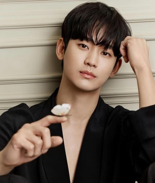 Kim Soo Hyun bị cho là rơi vào tình cảnh khó khăn trước nhiều lời tấn công.