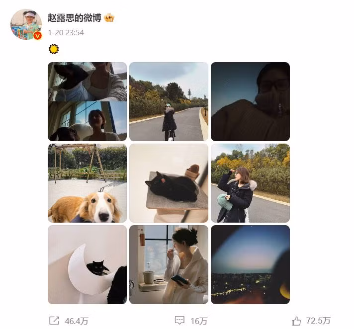 QQ cho rằng bài đăng của Triệu Lộ Tư có nhiều ẩn ý. Cô sử dụng icon mặt trời nhưng trong loạt ảnh không có bức hình mặt trời nào, thể hiện sự tối tăm bất lực.