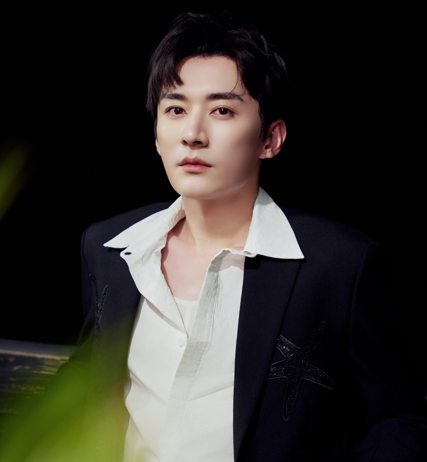 Lưu Học Nghĩa từng được đánh giá cao về diễn xuất, có ngoại hình khá giống với đàn anh Hoắc Kiến Hoa nhưng không thể bật lên thành sao hạng A.