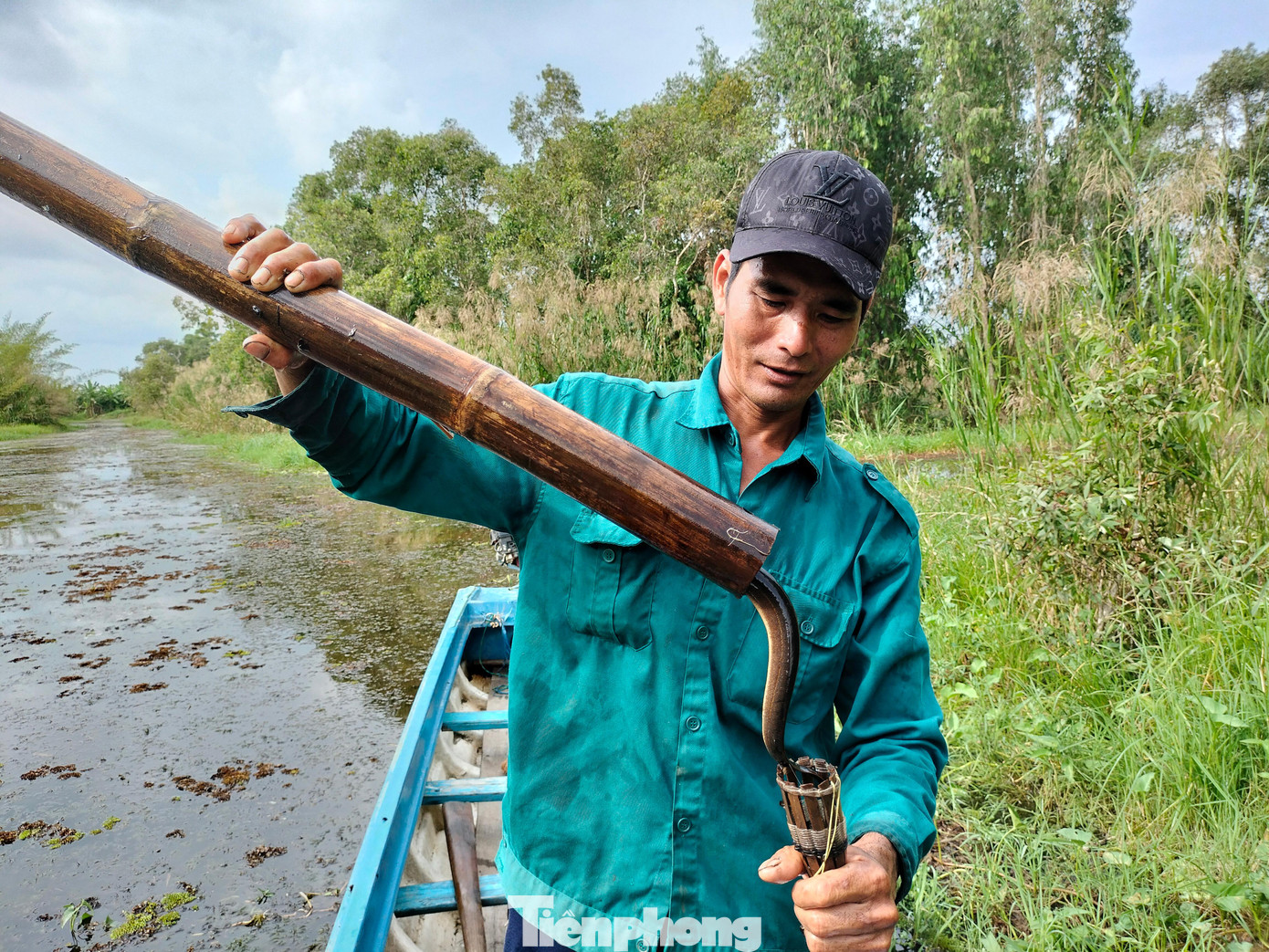 Anh Huỳnh Vũ Hoàng tháo hom, trút từ trong ống trúm ra những con lươn to bằng hai ngón tay, mình tròn, da vàng rộm.
