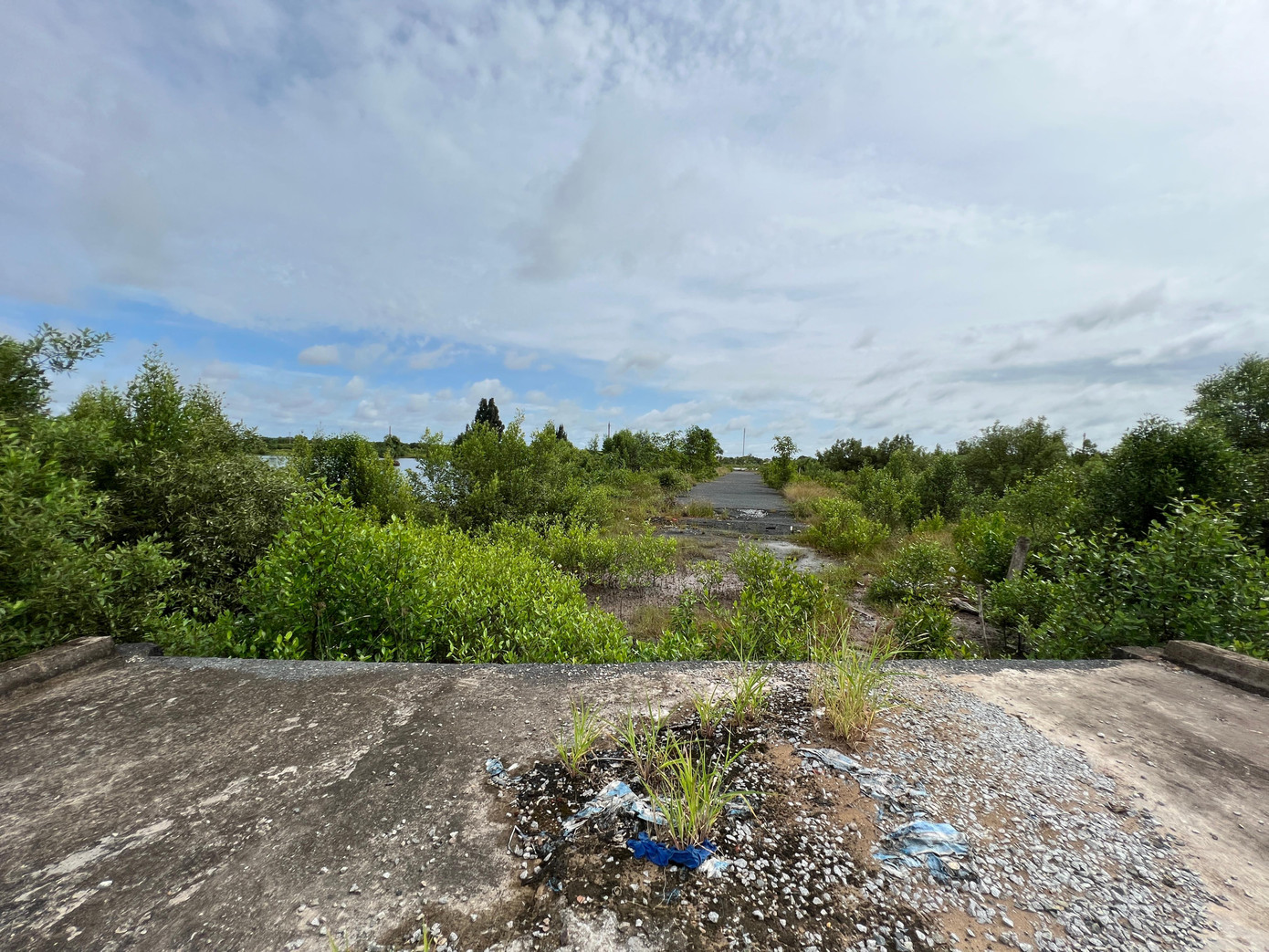 Mặt khác, do nguồn vốn đầu tư còn hạn chế nên dự án “ngân hàng đất” đầu tư chưa hoàn chỉnh như: Đường vận chuyển, ao chứa chưa nhiều, chưa phù hợp; hạ tầng giao thông trong khu vực còn nhiều hạn chế để cho công trình vận hành, khai thác; thiếu trang thiết bị, nhà xưởng, phương tiện để hoạt động. Mặt khác, do nguồn vốn đầu tư còn hạn chế nên dự án “ngân hàng đất” đầu tư chưa hoàn chỉnh như: Đường vận chuyển, ao chứa chưa nhiều, chưa phù hợp; hạ tầng giao thông trong khu vực còn nhiều hạn chế để cho công trình vận hành, khai thác; thiếu trang thiết bị, nhà xưởng, phương tiện để hoạt động.