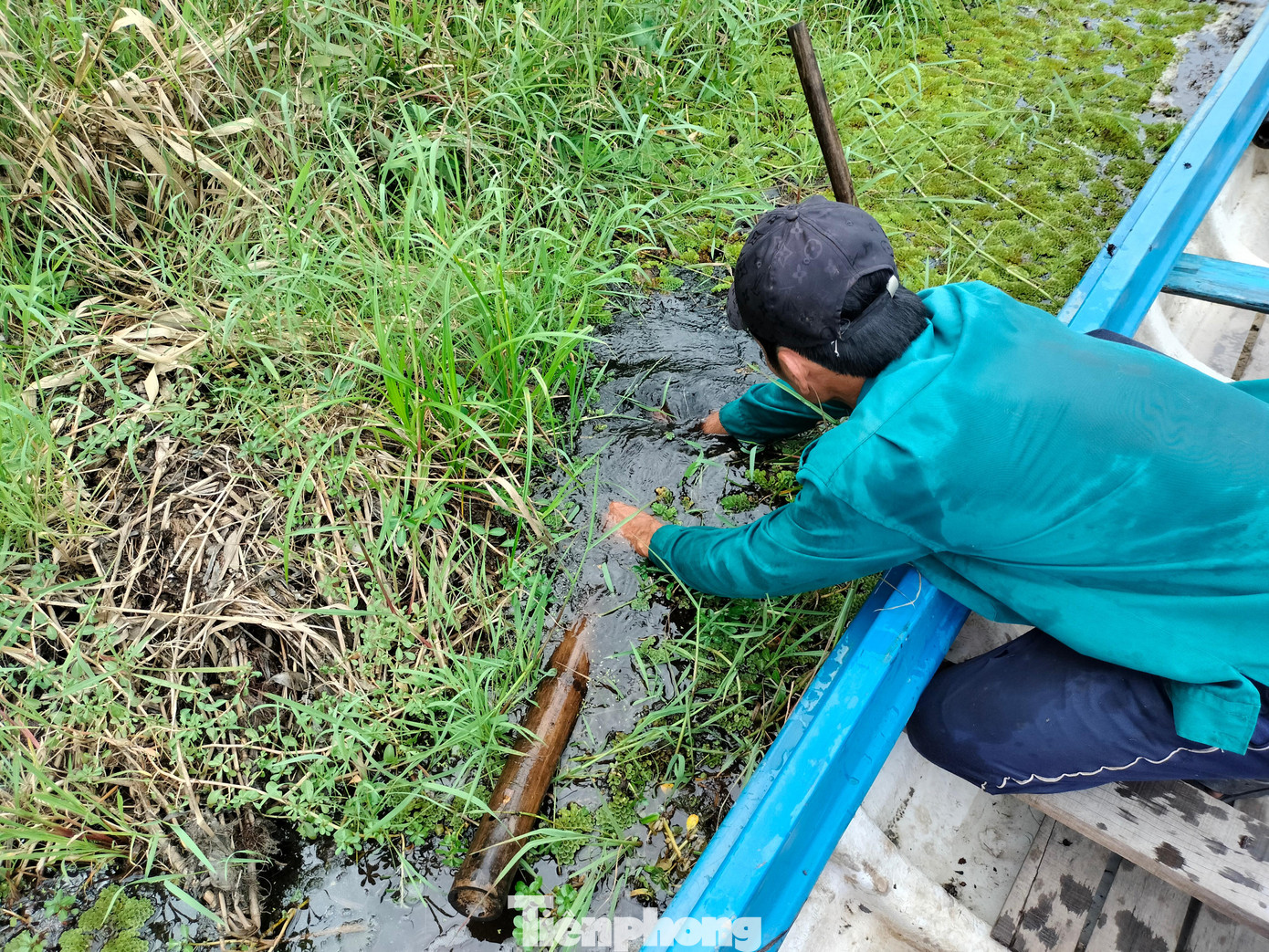 Khi đặt, phần đuôi trúm nằm trên mặt nước để lươn “chạy” vào không bị chết ngợp.