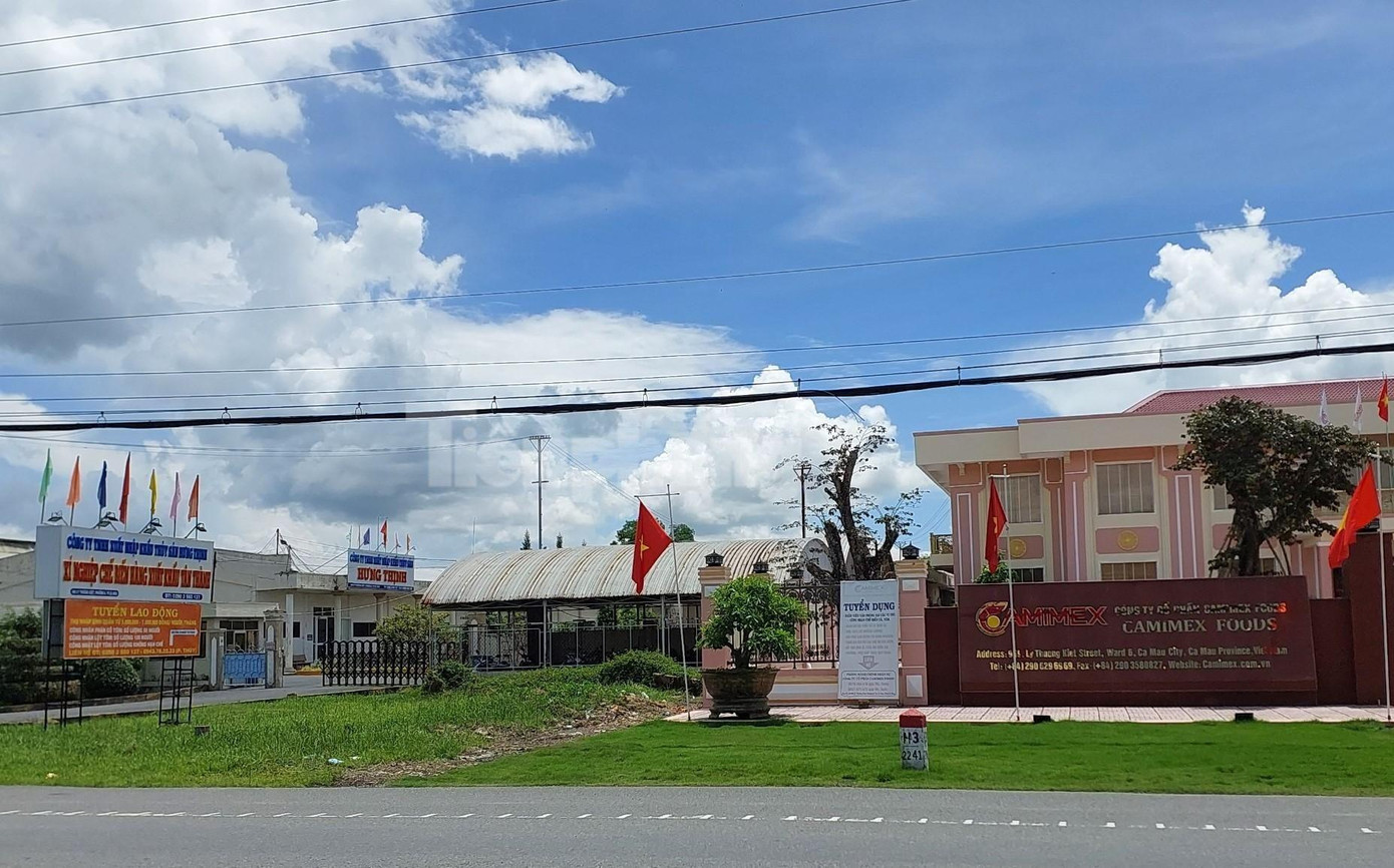 Khu vực các công ty trúng đấu giá.